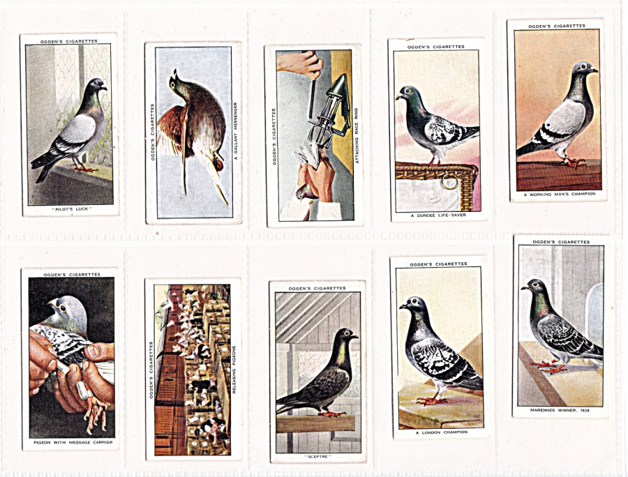 Arthur Clarke - Tobacco Pigeon Collectibles